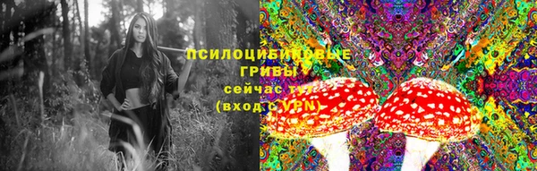 винт Баксан