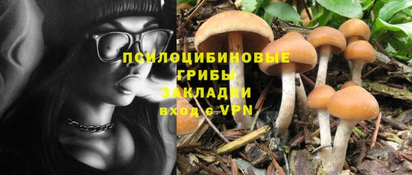 стафф Балабаново