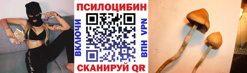 Псилоцибиновые грибы Psilocybe  закладки  Нягань 